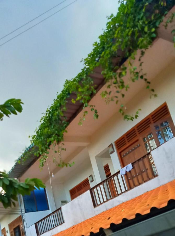 Green View Guest Mirissa Bagian luar foto