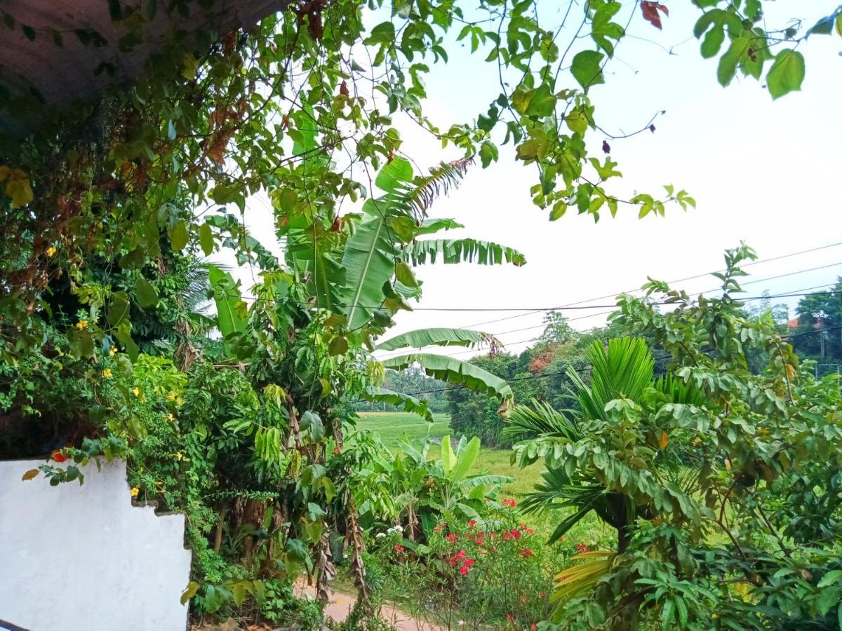 Green View Guest Mirissa Bagian luar foto