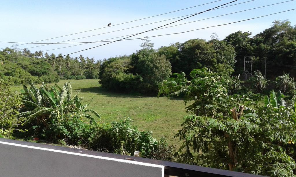 Green View Guest Mirissa Bagian luar foto