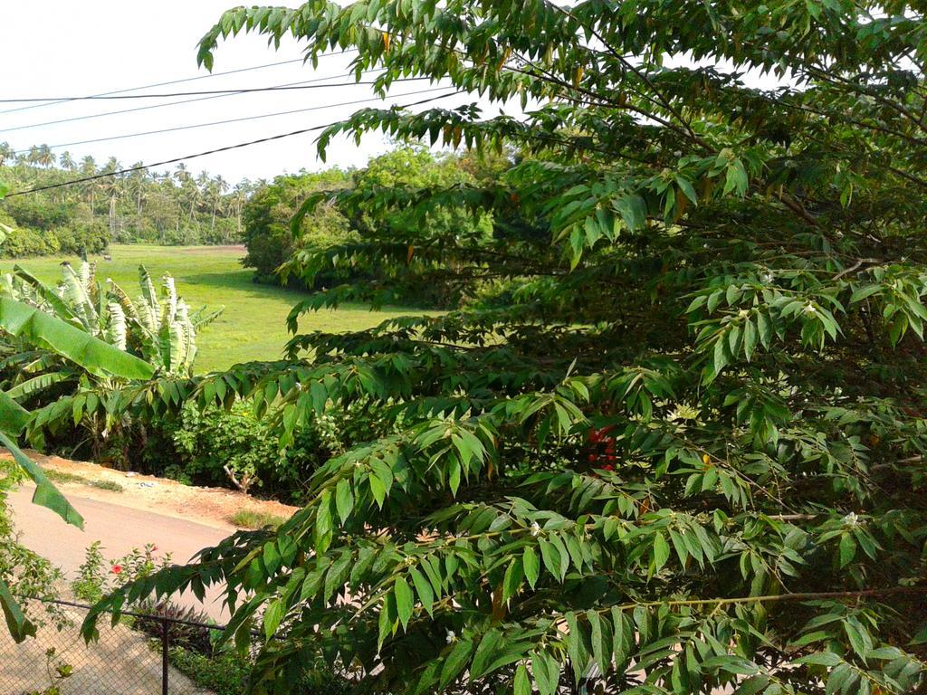 Green View Guest Mirissa Bagian luar foto